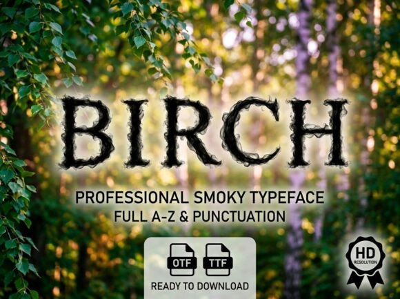 Birch: A Stunning Decorative Display Font
